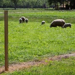 Gallagher Gealuminiseerd Draad Ht 1,6mm -MIM Husqvarna Winkel 004195 4 GALLAGHER