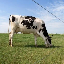 Gallagher Gealuminiseerd Draad Ht 2,5mm -MIM Husqvarna Winkel 039999 6 GALLAGHER