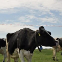 Gallagher Vidoflex 9 Turboline Plus Wit 12 Gallagher Vidoflex 9 Turboline Plus Wit -MIM Husqvarna Winkel 049028 5 GALLAGHER