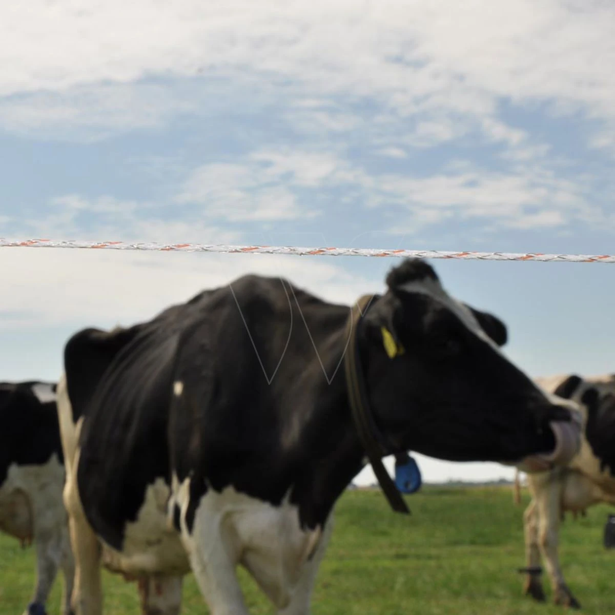 Gallagher Vidoflex 9 Turboline Plus Wit 7 Gallagher Vidoflex 9 Turboline Plus Wit - Afbeelding 5