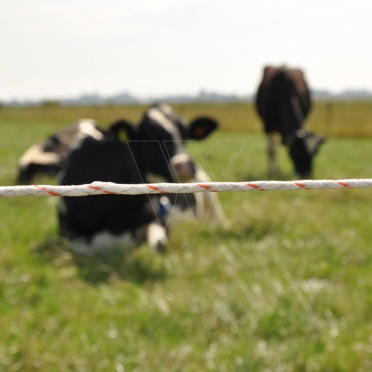 Gallagher Vidoflex 9 Turboline Plus Wit 8 Gallagher Vidoflex 9 Turboline Plus Wit - Afbeelding 6