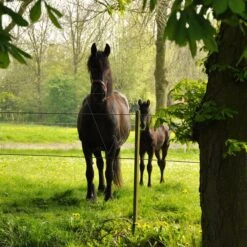 Gallagher Permanentkabel Terra 7,5mm/2,5 -MIM Husqvarna Winkel 053858 6 GALLAGHER