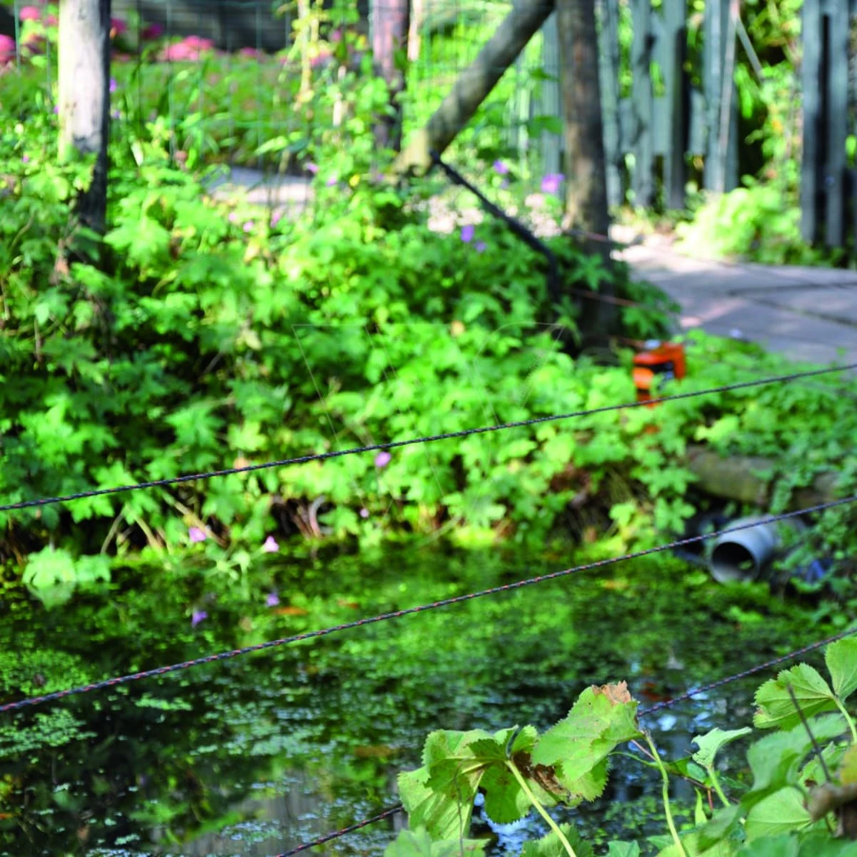 Gallagher Vidoflex 9 Turboline Plus Terr 6 Gallagher Vidoflex 9 Turboline Plus Terr - Afbeelding 4