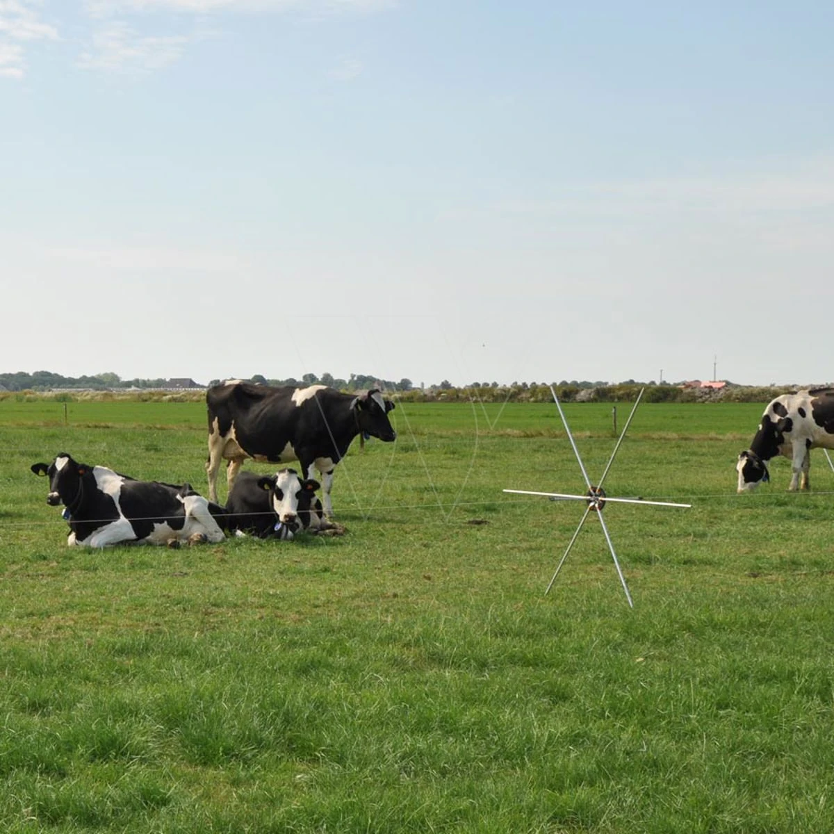 Gallagher Rasterspin (5) 6 Gallagher Rasterspin (5) - Afbeelding 4