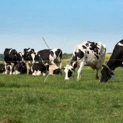 Gallagher Rasterspin (5) 18 Gallagher Rasterspin (5) -MIM Husqvarna Winkel 056388 6 GALLAGHER