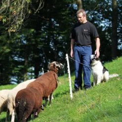 Gallagher Schapenpaal 0,75m Wit (10) -MIM Husqvarna Winkel 057849 3 GALLAGHER