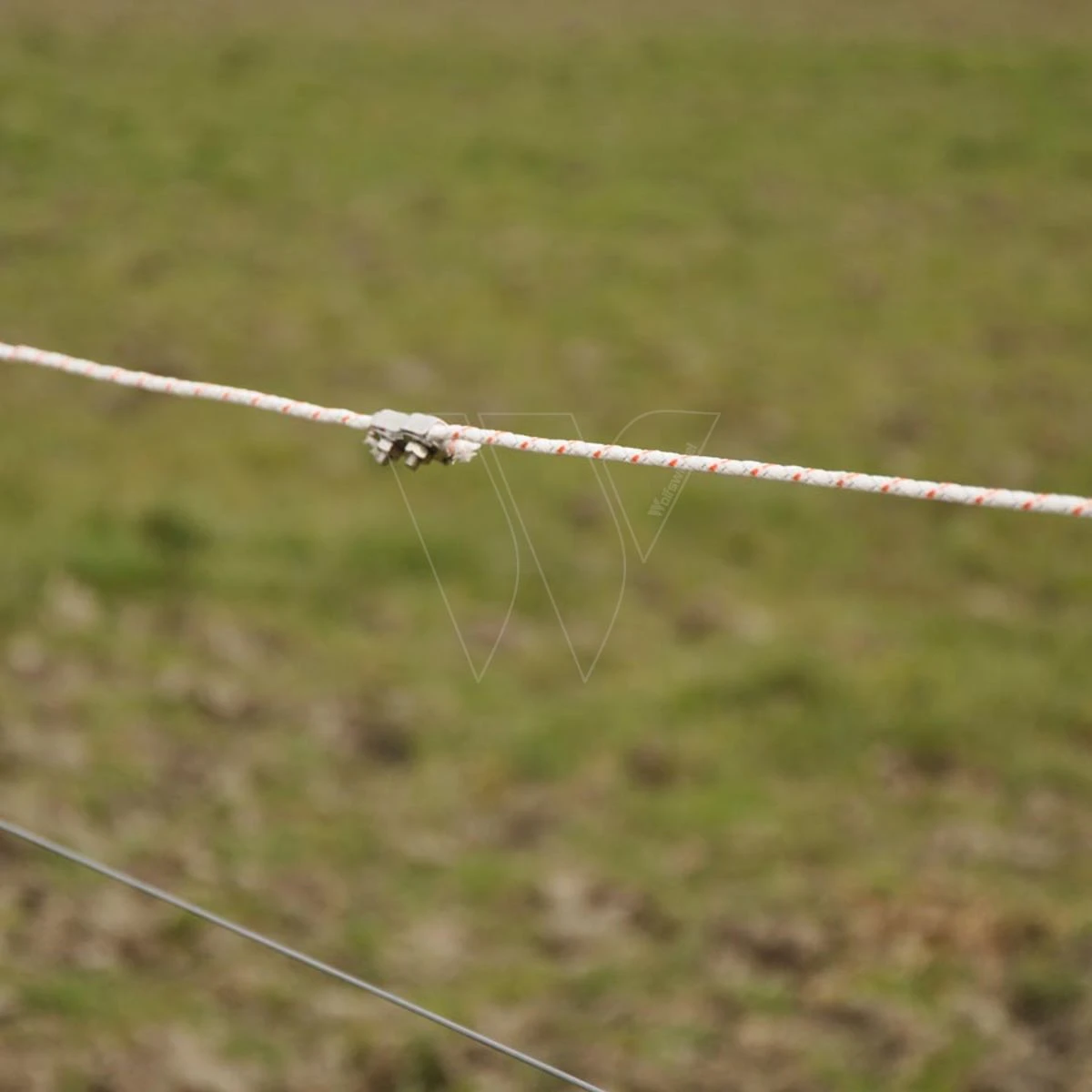 Gallagher Turboline Cord Wit 200m 7 Gallagher Turboline Cord Wit 200m - Afbeelding 5