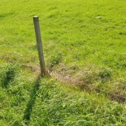 Gallagher Gealuminiseerd Draad Mt 1,8mm -MIM Husqvarna Winkel 060412 6 GALLAGHER