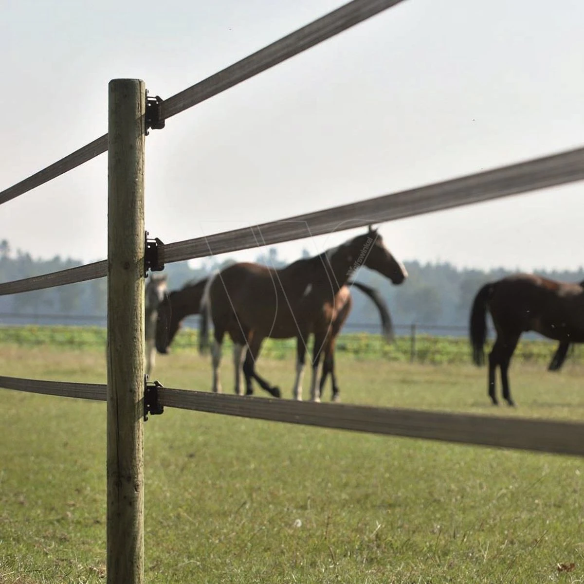 Gallagher Powerline Lint 40mm Terra 200m 5 Gallagher Powerline Lint 40mm Terra 200m - Afbeelding 3