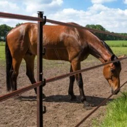 Gallagher Turboline Lint 20mm Terra 200m -MIM Husqvarna Winkel 060702 3 GALLAGHER