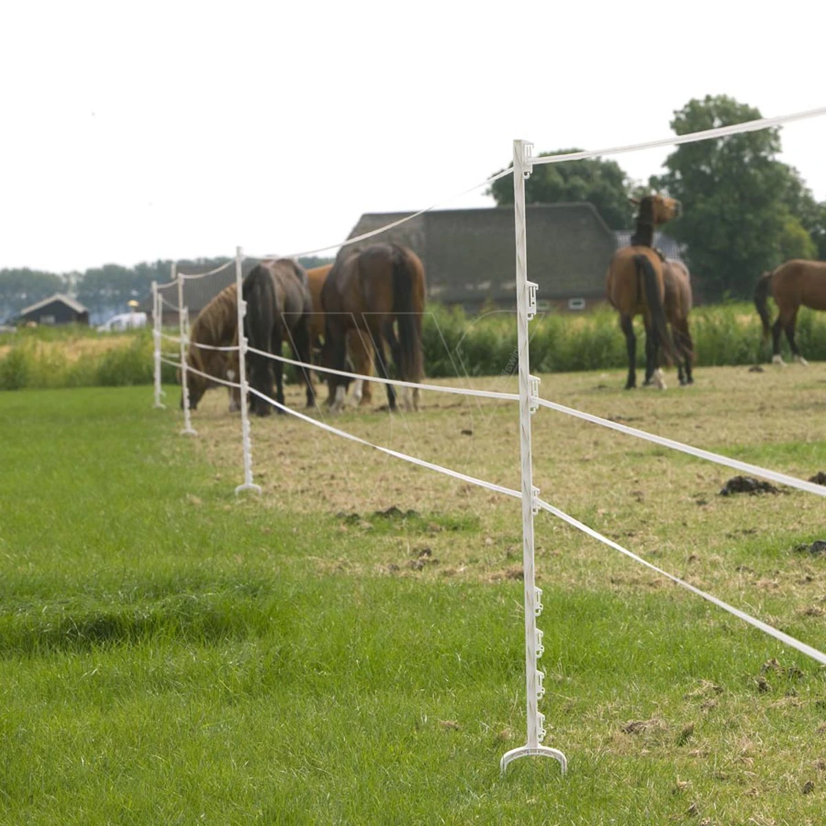 Gallagher Duopack Stijgbeugelpaal 1,55m 6 Gallagher Duopack Stijgbeugelpaal 1,55m - Afbeelding 4