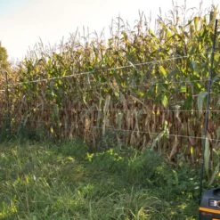 Gallagher Hertenpaal Kunststof 1,70m Zwa -MIM Husqvarna Winkel 063475 3 GALLAGHER