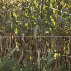 Gallagher Verstelbaar Veertje 19mm (25) 7 Gallagher Verstelbaar Veertje 19mm (25) -MIM Husqvarna Winkel 063499 3 GALLAGHER