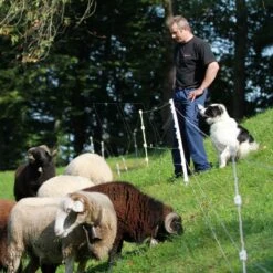 Gallagher Quattro Paal 1,00m (10) -MIM Husqvarna Winkel 064253 3 GALLAGHER