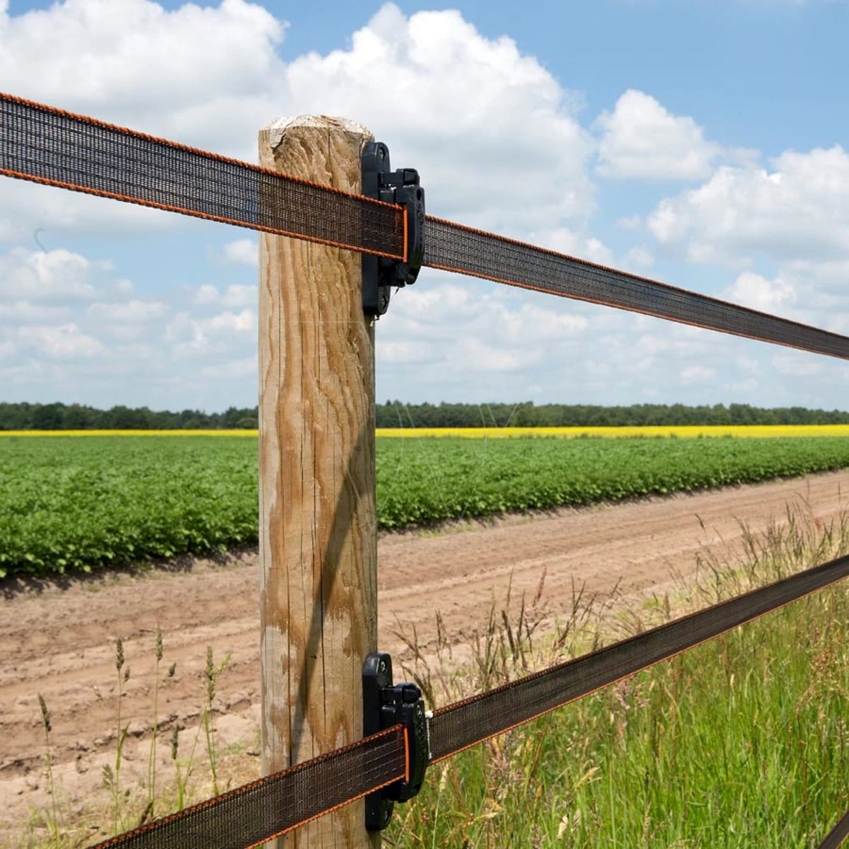 Gallagher Turbostar Lint 40mm Terra 100m 5 Gallagher Turbostar Lint 40mm Terra 100m - Afbeelding 3