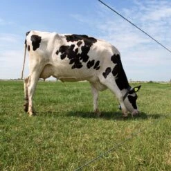 Gallagher Gealuminiseerd Draad Ht 1,8mm -MIM Husqvarna Winkel 077311 5 GALLAGHER