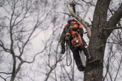 Husqvarna 572xpg Kettingzaag -50cm 5.9pk 35 Husqvarna 572xpg Kettingzaag -50cm 5.9pk -MIM Husqvarna Winkel 572XP 25 Husqvarna20Kettingzaag20572XP 1