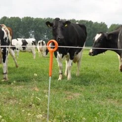 Gallagher Ring Top Paal 1,00m (10) -MIM Husqvarna Winkel 723136 3 GALLAGHER