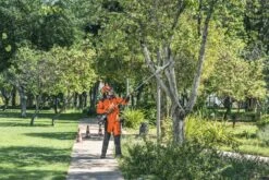 Husqvarna Stokzaag 525p4s 240cm 1.4pk 9 Husqvarna Stokzaag 525p4s 240cm 1.4pk -MIM Husqvarna Winkel 967329401 3 Husqvarna20stokzaag20240cm