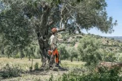 Husqvarna Stokzaag 525p4s 240cm 1.4pk 10 Husqvarna Stokzaag 525p4s 240cm 1.4pk -MIM Husqvarna Winkel 967329401 4 Husqvarna20stokzaag20240cm