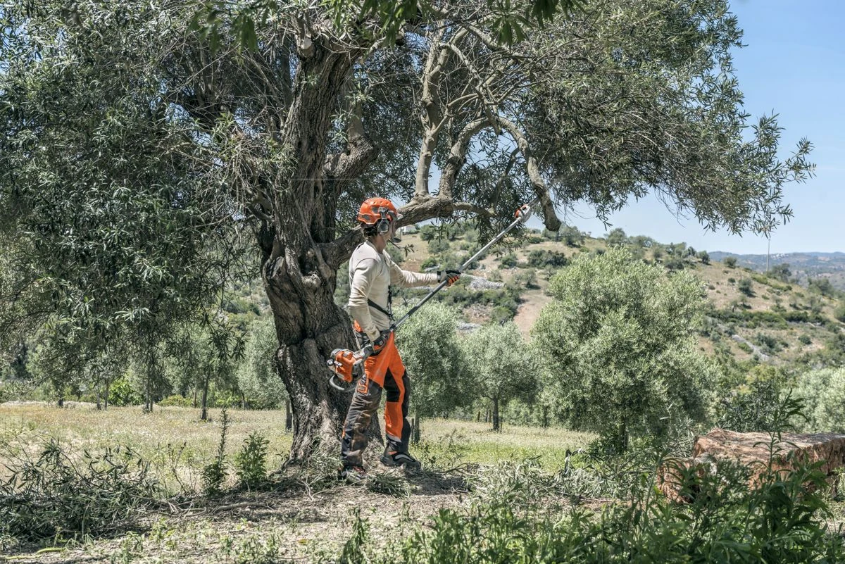 Husqvarna Stokzaag 525p4s 240cm 1.4pk 5 Husqvarna Stokzaag 525p4s 240cm 1.4pk - Afbeelding 4