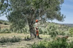 Husqvarna Stokzaag 525p4s 240cm 1.4pk 11 Husqvarna Stokzaag 525p4s 240cm 1.4pk -MIM Husqvarna Winkel 967329401 5 Husqvarna20stokzaag20240cm