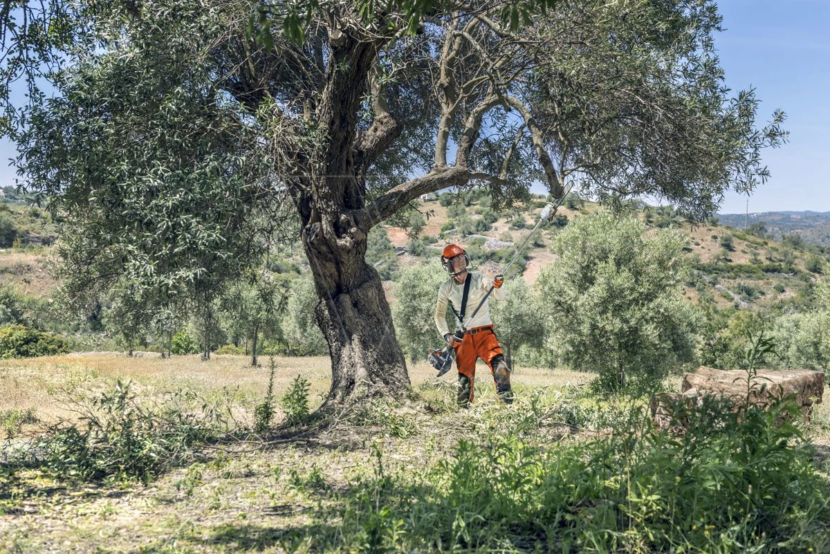 Husqvarna Stokzaag 525p4s 240cm 1.4pk 7 Husqvarna Stokzaag 525p4s 240cm 1.4pk - Afbeelding 6