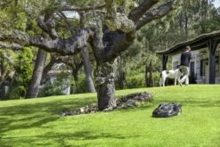 Husqvarna 440 Automower <4000m² -MIM Husqvarna Winkel 967673312 5 Husqvarna20Automower2044020gazon204000m.jpg