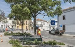 Husqvarna 530ipt5 Accu Stokzaag Ex.accu 7 Husqvarna 530ipt5 Accu Stokzaag Ex.accu -MIM Husqvarna Winkel 967884811 3 Husqvarna20accu20stokzaag20536lipt5