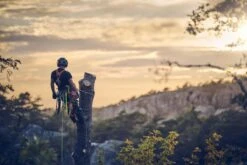 Husqvarna T540xp Mark Iii Klimzaag 30cm -MIM Husqvarna Winkel 970517912 7 HUSQVARNA20T540XP20MARK20III20BOOMZAAG2030CM