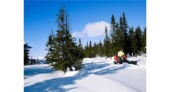 Husqvarna P520dx Zitmaaier Diesel -MIM Husqvarna Winkel Husqvarna20Rider20P52020D20918